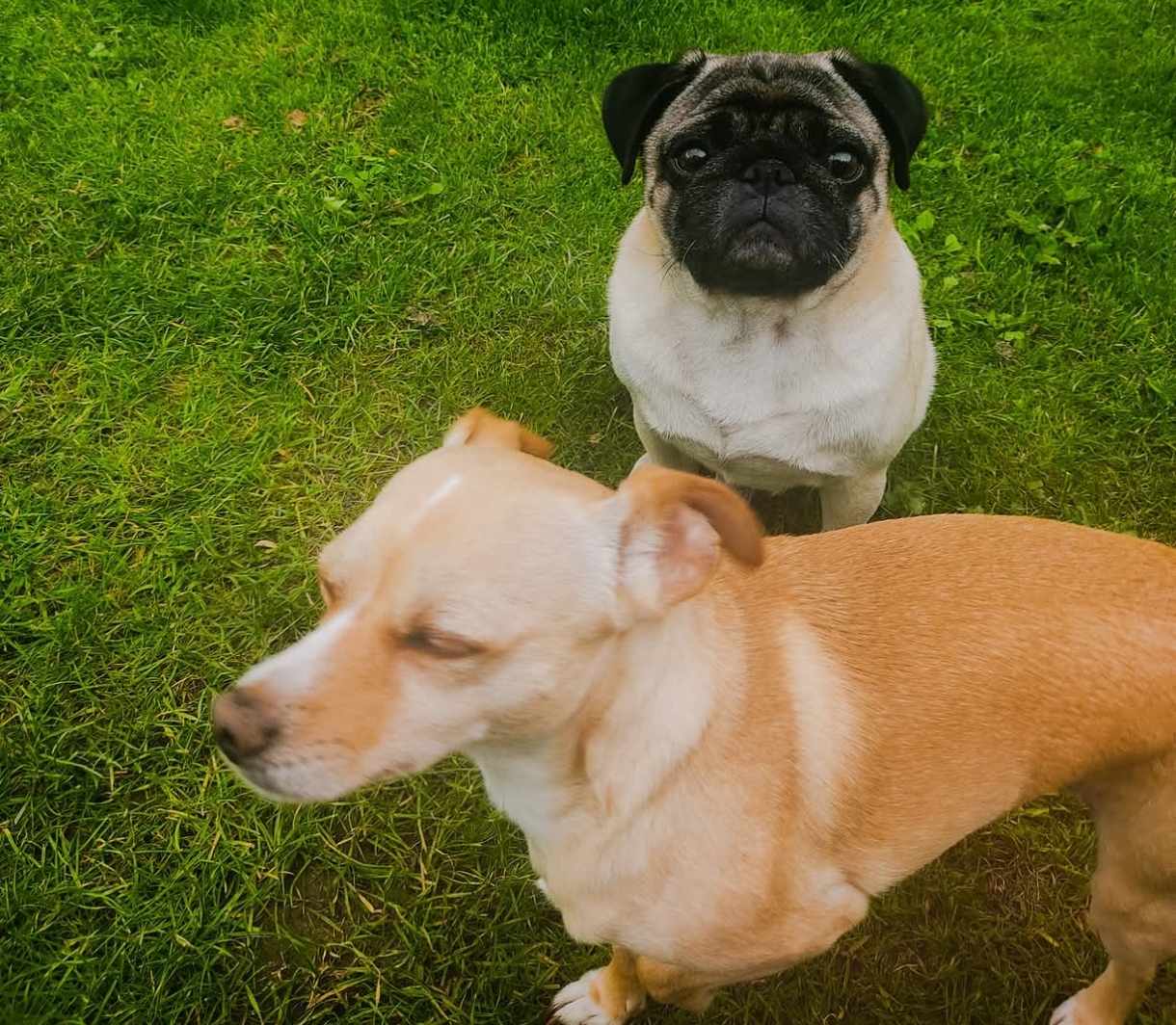 Joe's security team